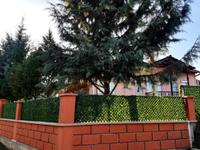 Villa Elena - photo 8