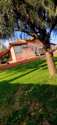 Villa Elena - photo 12
