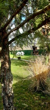 Villa Elena - photo 15